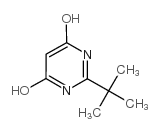 2-叔丁基-4,6-二羟基嘧啶 结构式