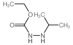 ethyl N-(propan-2-ylamino)carbamate 结构式