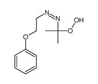 1-(1-氢过氧基-1-甲基乙基)-2-(2-苯氧基乙基)二氮烯 结构式