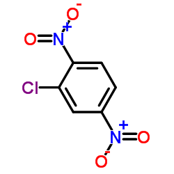 2-氯-1,4-二硝基苯 结构式