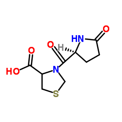 匹多莫德杂质D 结构式