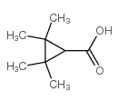 2,2,3,3-四甲基环丙甲酸 结构式