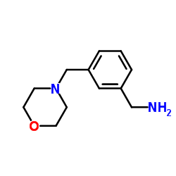 [3-(吗啉甲基)苯基]甲胺 结构式