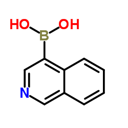 4-异喹啉硼酸 结构式