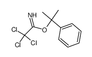 2,2,2-三氯乙酰亚氨酸2-苯基丙烷-2-基酯 结构式