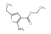 净司他丁 结构式