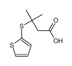 3-甲基-3-(2-噻吩硫基)丁酸 结构式