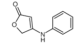 4-苯胺基呋喃-2(5H)-酮 结构式