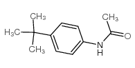 4-叔丁基乙酰苯胺 结构式