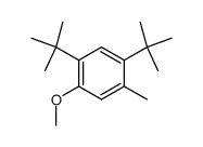 2,4-二叔丁基-5甲基苯甲醚 结构式