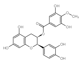 (-)-表儿茶素3-(4-O-甲基)没食子酸酯 结构式