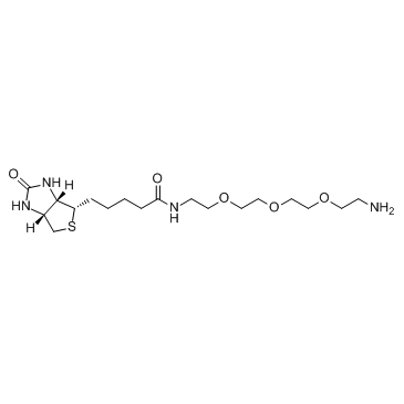 N-生物素-3,6,9-三氧杂十一烷-1,11-二胺 结构式