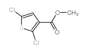 2,5-二氯噻吩-3-羧酸甲酯 结构式