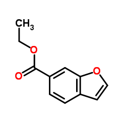 苯并呋喃-6-甲酸乙酯 结构式