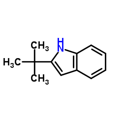 2-叔丁基-1H-吲哚 结构式