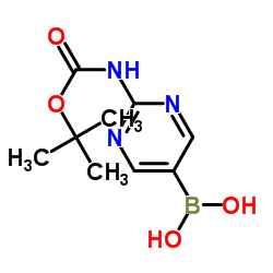 [2-(叔丁氧羰基氨基)嘧啶-5-基]硼酸 结构式