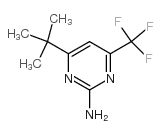 4-叔丁基-6-三氟甲基-2-嘧啶胺 结构式