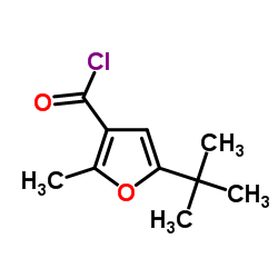 5-叔丁基-2-甲基呋喃-3-碳酰氯 结构式