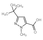 3-(叔丁基)-1-甲基-1H-吡唑-5-羧酸 结构式