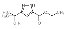 5-(叔丁基)-2H-吡唑-3-甲酸乙酯 结构式