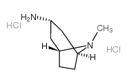 8-甲基-8-氮杂双环[3,2,1]辛-3-胺二盐酸盐 结构式