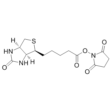 (+)生物素-N-琥珀酰亚胺基酯 结构式