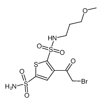 2,5-Thiophenedisulfonamide, 3-(2-bromoacetyl)-N2-(3-methoxypropyl)- 结构式