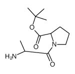 L-丙氨酰-L-脯氨酸叔丁酯 结构式