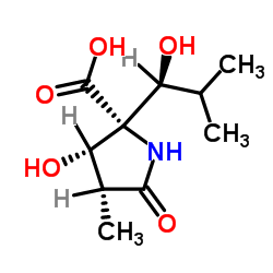 (3R,4S,5R)-4-羟基-5-[(1S)-1-羟基-2-甲基丙基]-3-甲基-2-吡咯烷酮-5-羧酸 结构式