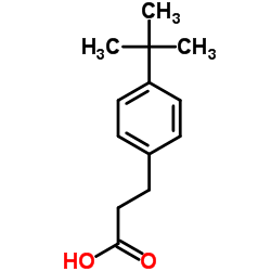 3-(4-叔丁基苯)-丙酸 结构式