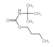 BUTYL-N-TERT-BUTYL CARBAMATE 结构式