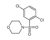 4-[(2,5-dichlorophenyl)sulfonyl]morpholine 结构式