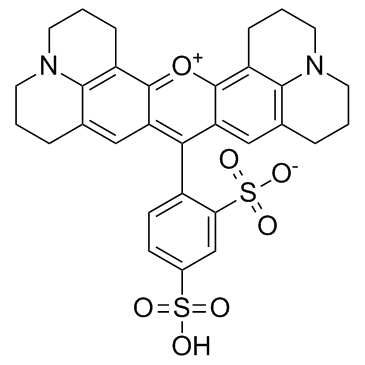 磺基罗丹明101 结构式