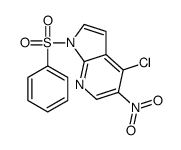 1-(苯磺酰基)-4-氯-5-硝基-1H-吡咯并[2,3-b]吡啶 结构式