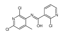 2-氯-N-(2,6-二氯-4-甲基吡啶-3-基)吡啶-3-甲酰胺 结构式