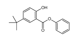 5-叔丁基-2-羟基苯甲酸苯酯 结构式