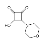 3-羟基-4-(4-吗啉基)-3-环丁烯-1,2-二酮 结构式