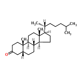 试剂5Beta-Cholestan-3-one(储存“2-8℃”；运输“常温”) 结构式
