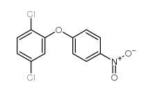 1,4-二氯-2-(4-硝基苯氧基)苯 结构式