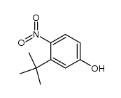 3-叔丁基-4-硝基苯酚 结构式