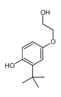2-叔丁基-4-(2-羟基乙氧基)苯酚 结构式