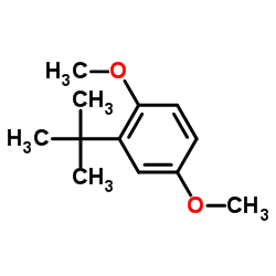 2-叔丁基-1,4-二甲氧基苯 结构式