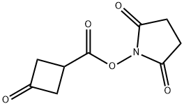 3-氧代环丁烷羧酸 2,5-二氧代吡咯烷-1-基酯 结构式