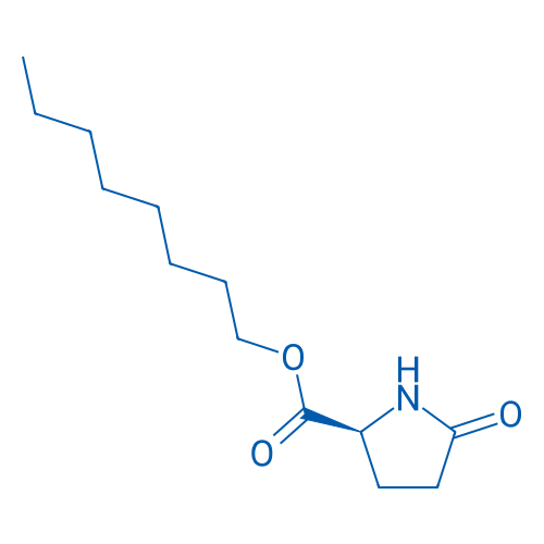L-2-吡咯烷酮-5-羧酸正辛酯 结构式