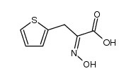 2-Thiophenepropanoic acid, α-(hydroxyimino)-, (Z)- (9CI) 结构式