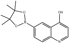 6-(4,4,5,5-四甲基-1,3,2-二氧杂硼杂环戊烷-2-基)喹啉-4-醇 结构式