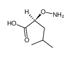 2-氨基氧基-4-甲基-(S)-戊酸 结构式