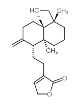 新穿心莲内酯苷元 结构式