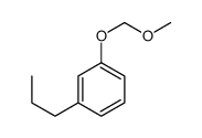 Benzene, 1-(methoxymethoxy)-3-propyl- (9CI) 结构式