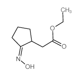 Cyclopentaneaceticacid, 2-(hydroxyimino)-, ethyl ester 结构式